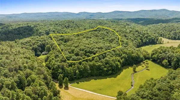 9.3AC Canaan RD, Ellijay, GA 30540