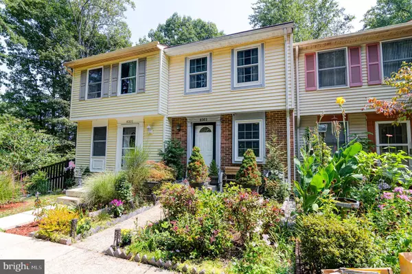 8303 WINDFALL RD, Springfield, VA 22153