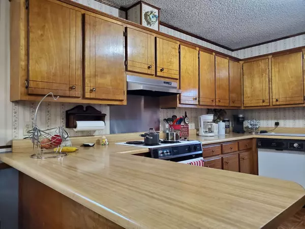 2055 Chisholm Rd, Iron City, TN 38463