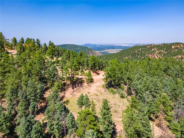 2532 Elk Park RD, Larkspur, CO 80118