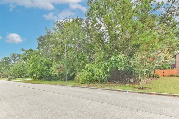 NA Sugar Pine DR, Houston, TX 77090