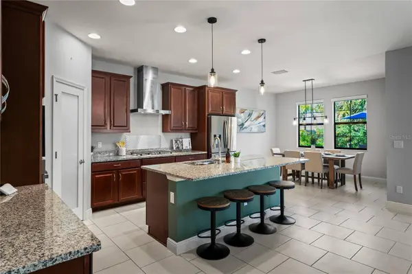 3893 BURDICK LOOP, Odessa, FL 33556