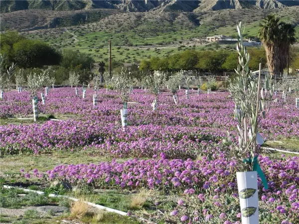 22800 Longvue RD, Sky Valley, CA 92241