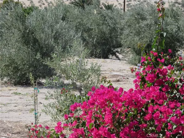 22800 Longvue RD, Sky Valley, CA 92241