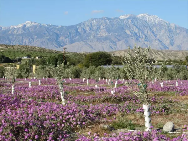 22800 Longvue RD, Sky Valley, CA 92241