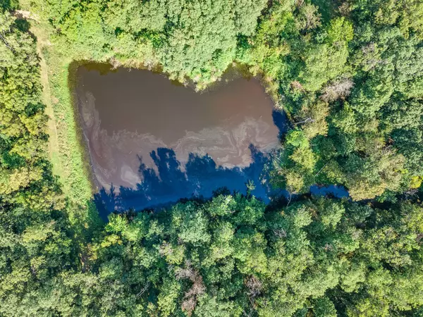 2068 County road 169, Auxvasse, MO 65231