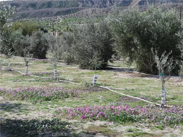 22800 Longvue RD, Sky Valley, CA 92241