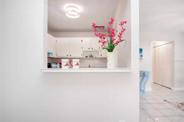 301 ANDOVER PL S #171, Sun City Center, FL 33573