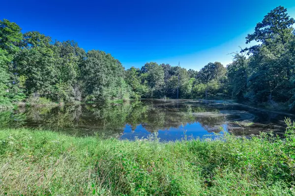 2068 County road 169, Auxvasse, MO 65231