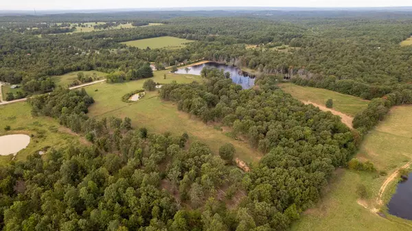 40 Acres in Mammoth Spring Arkansas