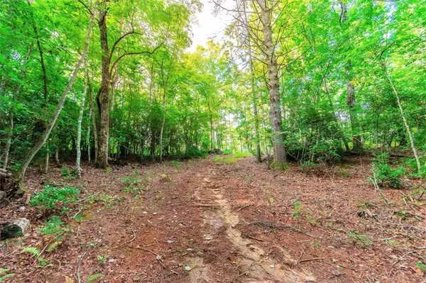 1.77 Mount Carmel TRL, Morganton, GA 30560