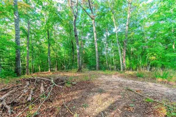 1.77 Mount Carmel TRL, Morganton, GA 30560