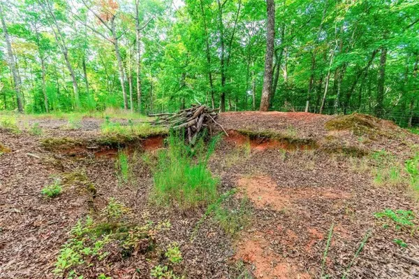 1.77 Mount Carmel TRL, Morganton, GA 30560