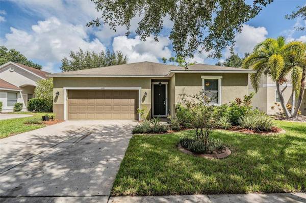 11126 GOLDENROD FERN DR, Riverview, FL 33569