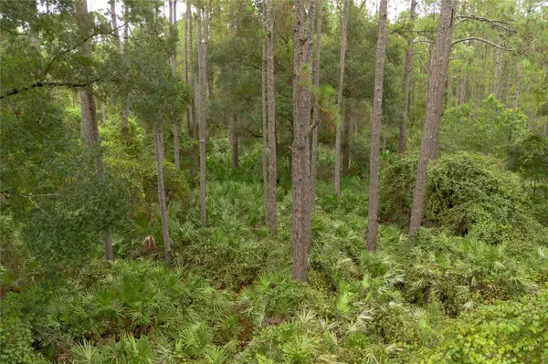 12TH AVE, Deland, FL 32724