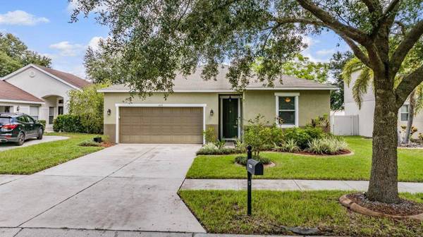 11126 GOLDENROD FERN DR, Riverview, FL 33569