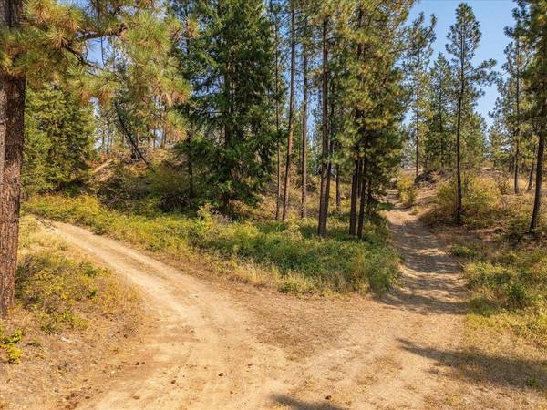 1828 B Hutchison Rd, Addy, WA 99101