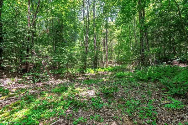 3.35AC Pine LN, Mineral Bluff, GA 30559