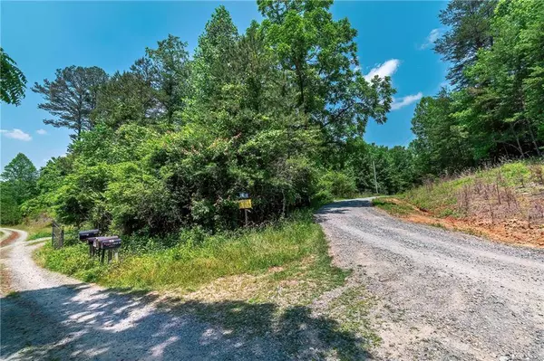 3.35AC Pine LN, Mineral Bluff, GA 30559