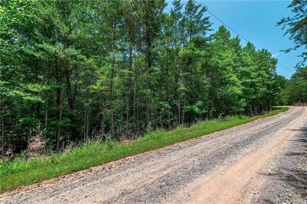 3.35AC Pine LN, Mineral Bluff, GA 30559