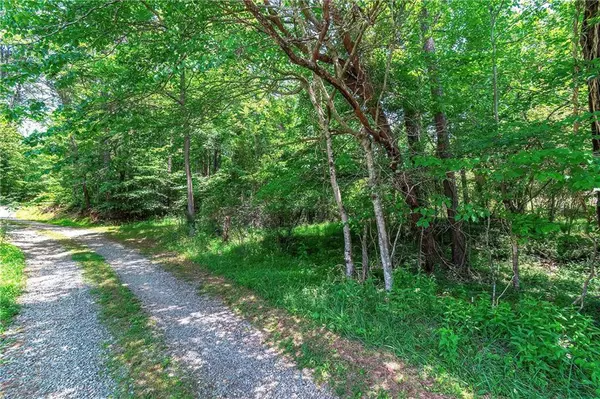3.35AC Pine LN, Mineral Bluff, GA 30559