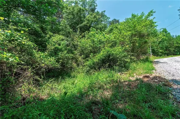 3.35AC Pine LN, Mineral Bluff, GA 30559