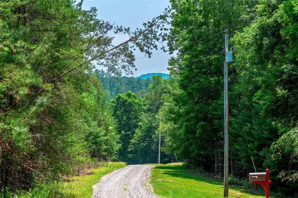 2.66AC Pine LN, Mineral Bluff, GA 30559