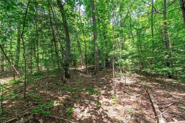 3.35AC Pine LN, Mineral Bluff, GA 30559