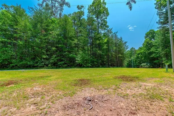 2.66AC Pine LN, Mineral Bluff, GA 30559