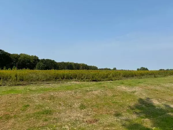 Parcel C Island View DR, Mora, MN 55051