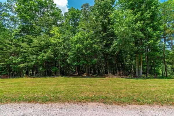 2.66AC Pine LN, Mineral Bluff, GA 30559