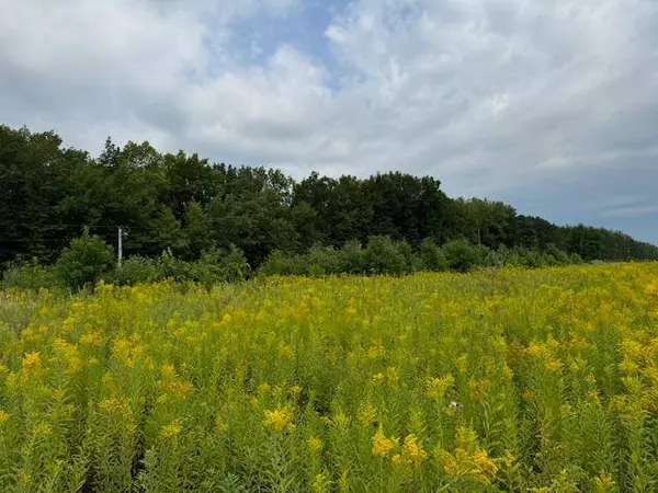 Parcel B Island View DR, Mora, MN 55051