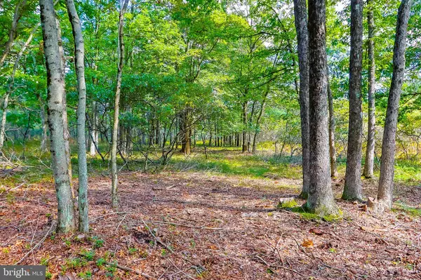 70 SYCAMORE CIR, Albrightsville, PA 18210