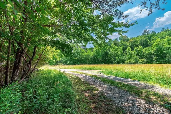 3.35AC Pine LN, Mineral Bluff, GA 30559
