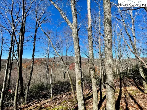 142 Tanglewood TRL, Blowing Rock, NC 28605