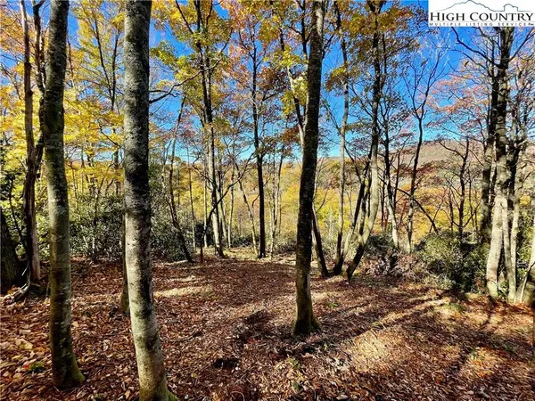 142 Tanglewood TRL, Blowing Rock, NC 28605