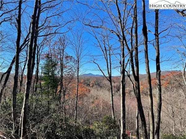 142 Tanglewood TRL, Blowing Rock, NC 28605