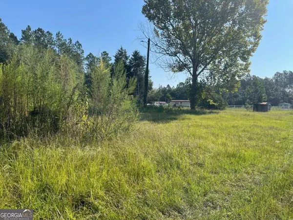 5939 Wood Duck TRL, Blackshear, GA 31516