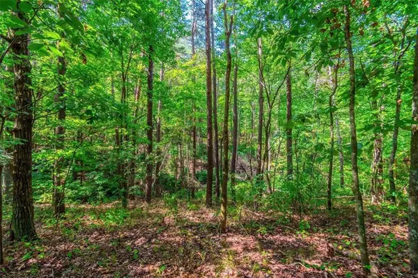 525-52 Quail WAY, Jasper, GA 30143