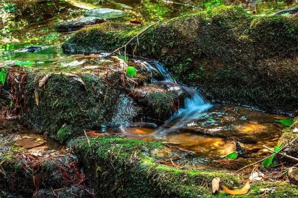 525-52 Quail WAY, Jasper, GA 30143