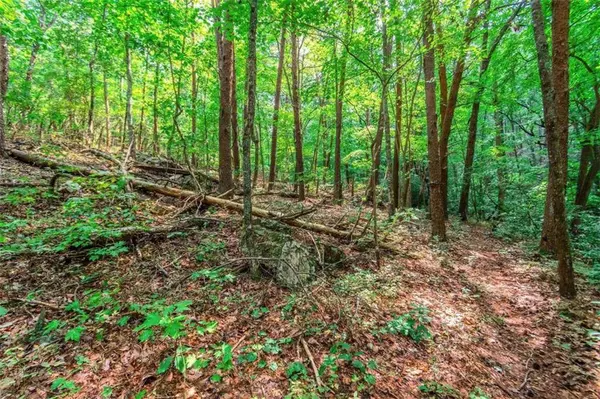 525-52 Quail WAY, Jasper, GA 30143