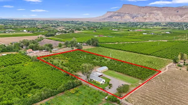 3646 E 1/2 Road, Palisade, CO 81526-9364