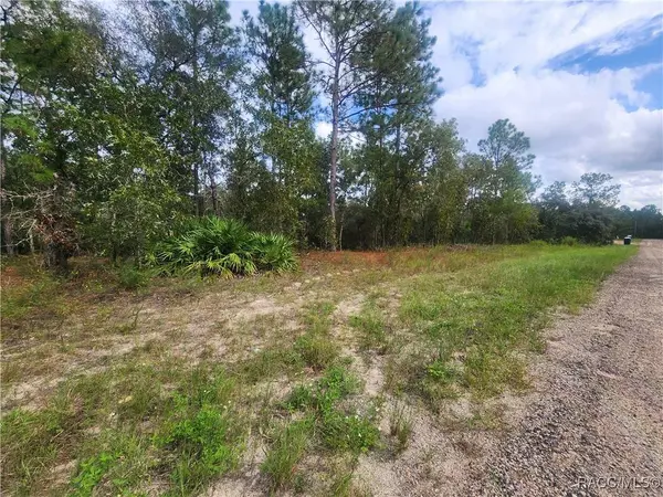 9931 & 9913 N Swanee TER, Dunnellon, FL 34433