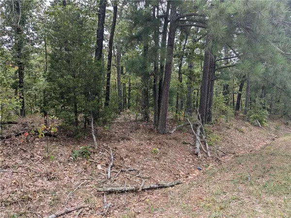 Lot 3 E Lancashire Blvd, Bella Vista, AR 72714