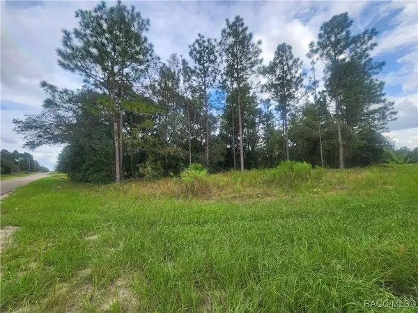 9931 & 9913 N Swanee TER, Dunnellon, FL 34433