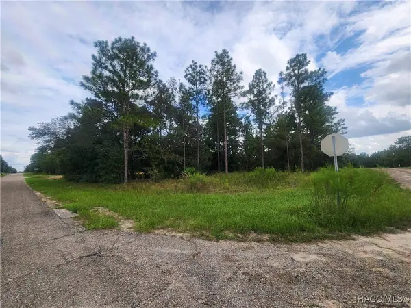 9931 & 9913 N Swanee TER, Dunnellon, FL 34433