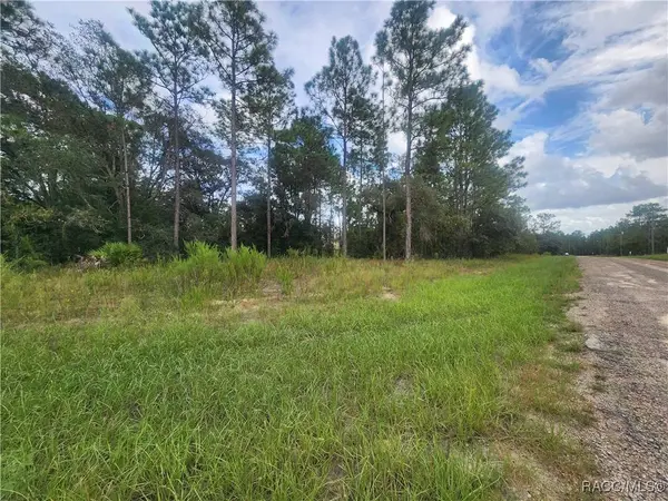 9931 & 9913 N Swanee TER, Dunnellon, FL 34433
