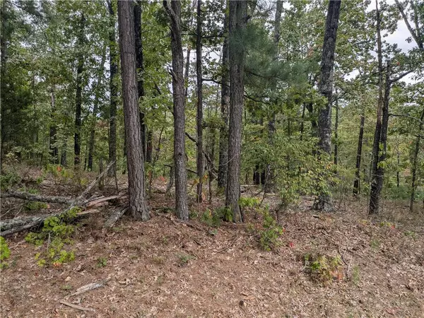 Lot 3 E Lancashire Blvd, Bella Vista, AR 72714