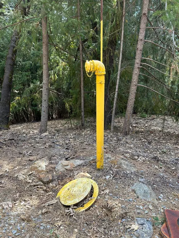 25488 Meadow DR, Pioneer, CA 95666