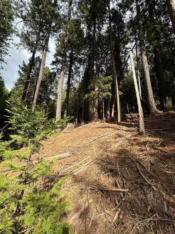 25488 Meadow DR, Pioneer, CA 95666